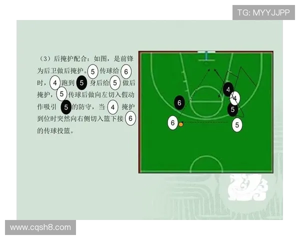 篮球之道：从基础技巧到比赛战术全面解析与发展趋势探讨