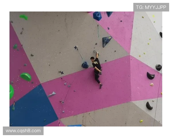 攀岩之巅：深入解析上海攀岩队的战术与训练秘笈